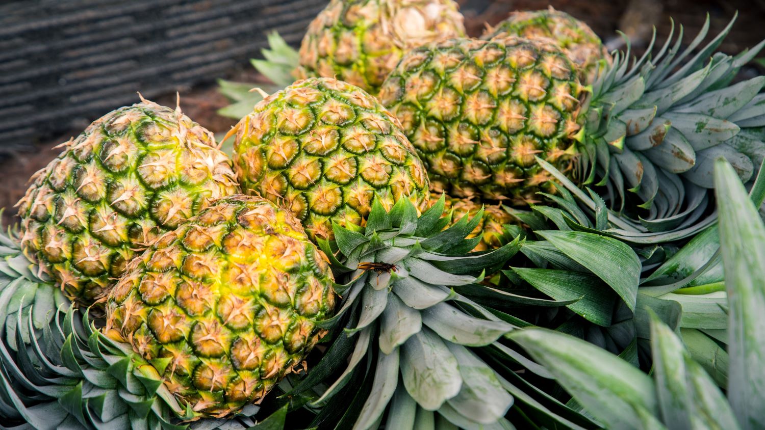 Ananas