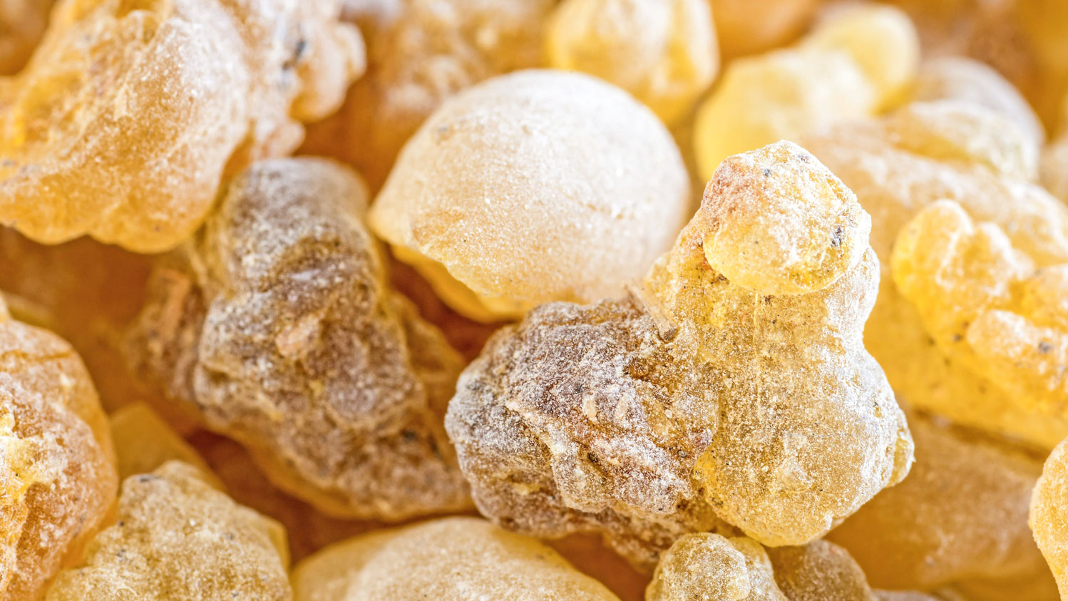 Boswellia