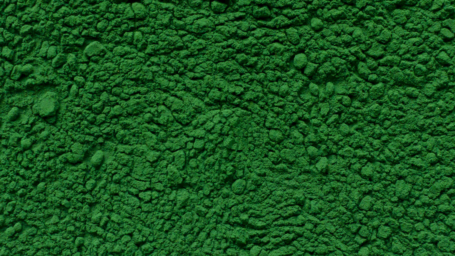 Chlorella