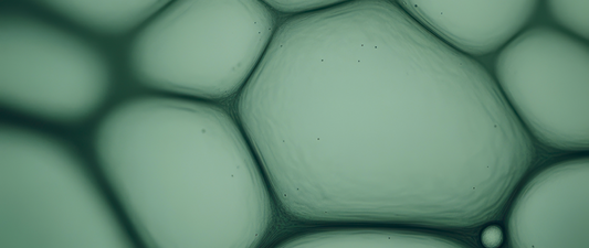 Od czego zacząć suplementację? Od podstaw.