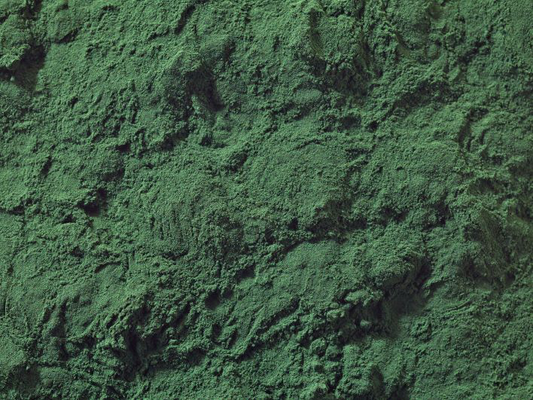 Spirulina - czym jest i kiedy warto ją stosować?