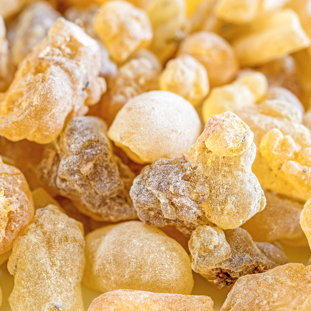 Skladnik suplementu diety - Boswellia