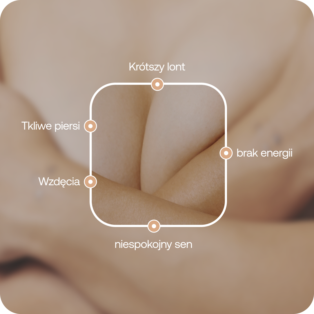 female formula pms relief