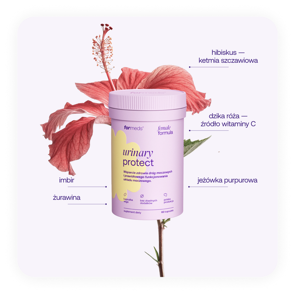 female formula urinary protect
