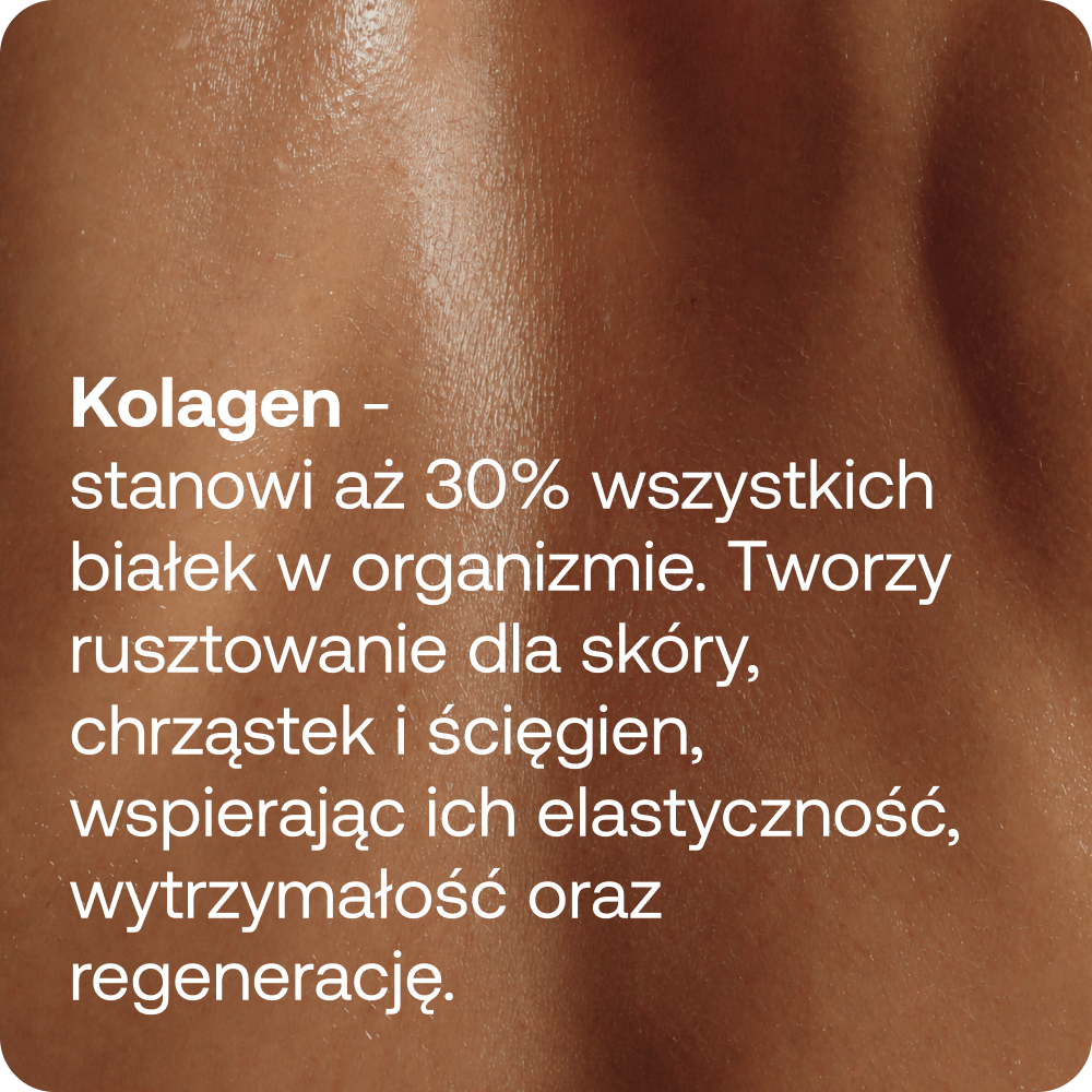 POWDER collagen multi karmel