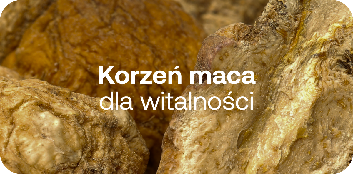 Korzeń maca
dla witalności