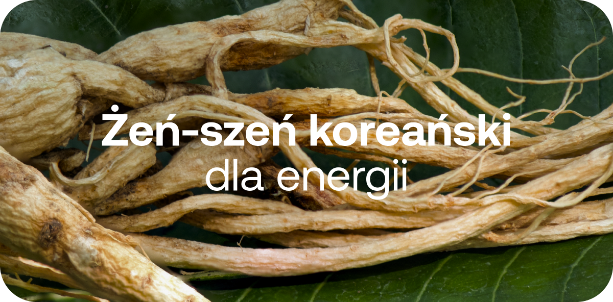 Żeń-szeń koreański
dla energii