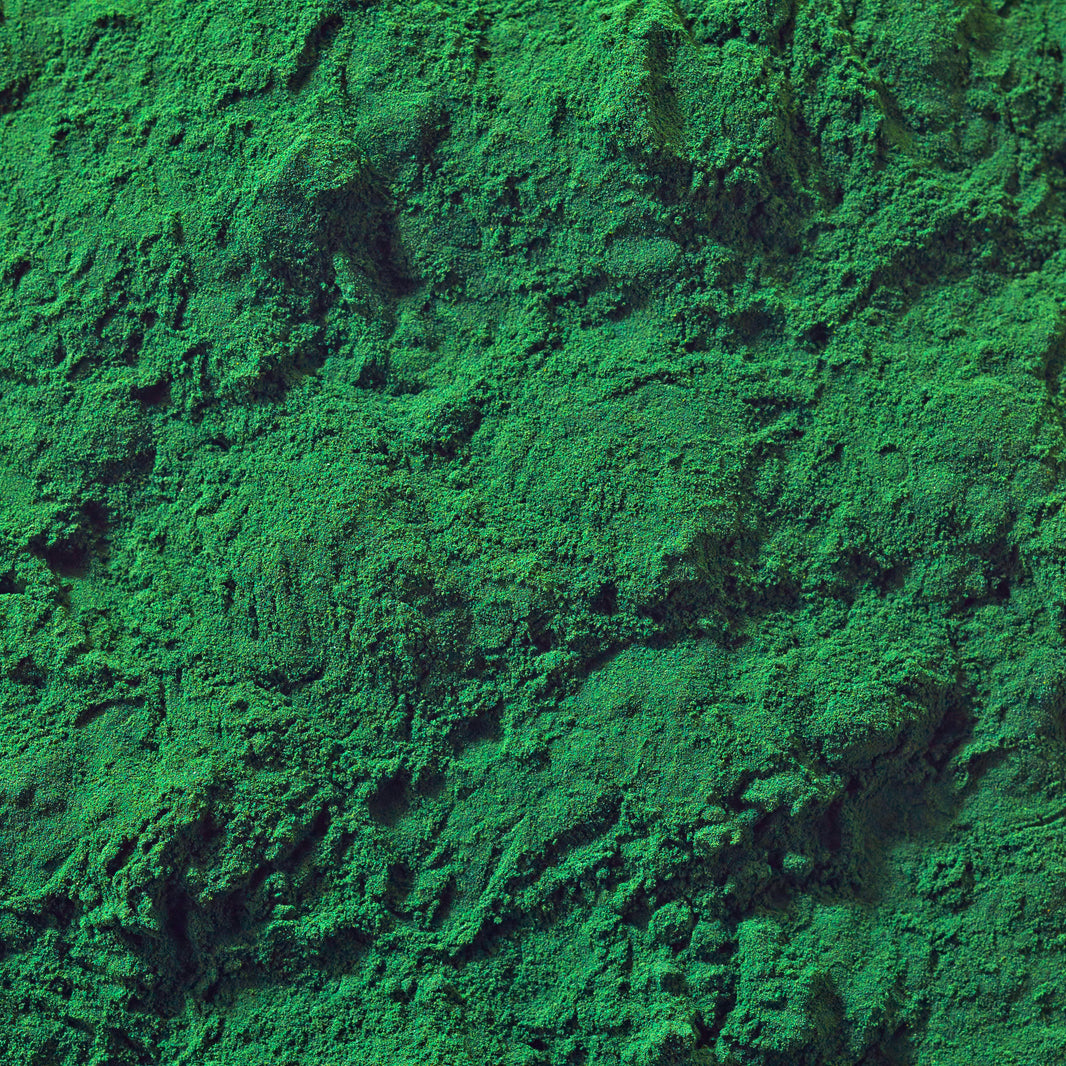 Skladnik suplementu diety - Spirulina