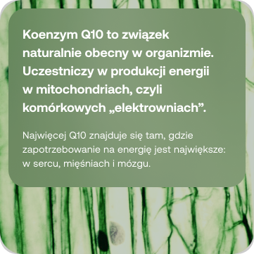 BICAPS coenzyme Q10